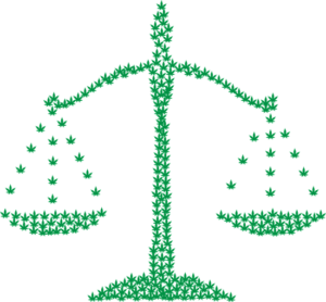 Cannabis Legalization