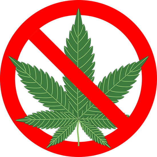 Illegal Cannabis Events