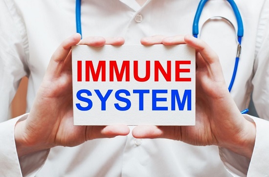 Cannabis and Immune System